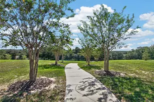 955 Aspen View Cir, Groveland, FL 34736 - Photo 44