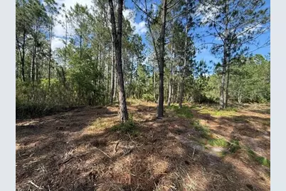 510 Hidden Palms Drive, Davenport, FL 33897 - Photo 8