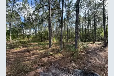 510 Hidden Palms Drive, Davenport, FL 33897 - Photo 6