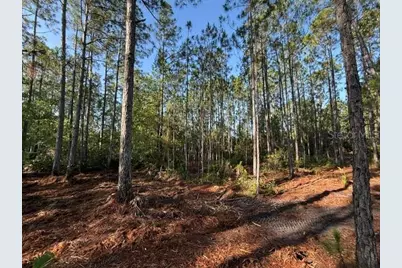510 Hidden Palms Drive, Davenport, FL 33897 - Photo 4