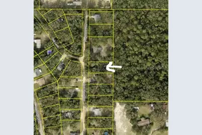 Dogwood Way, Lady Lake, FL 32159 - Photo 1