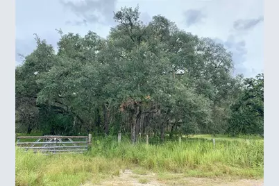 10425 E Moccasin Slough Road, Inverness, FL 34450 - Photo 6