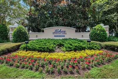 7887 Crosswinds Way, Mount Dora, FL 32757 - Photo 56