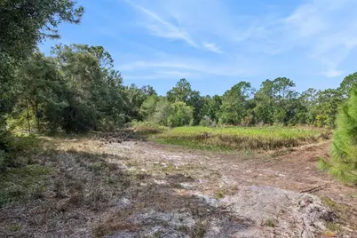 Bethune Street, Leesburg, FL 34788 - Photo 4