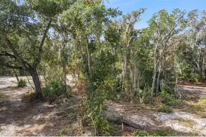 Bethune Street, Leesburg, FL 34788 - Photo 10