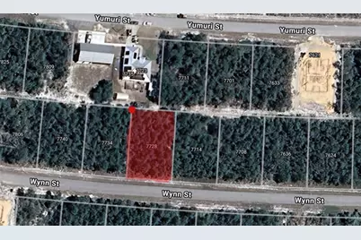7728 Wynn Street, Sebring, FL 33872 - Photo 1