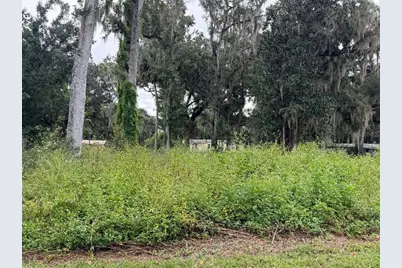 County Road 426E, Lake Panasoffkee, FL 33538 - Photo 2