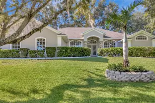 10504 Jardim De Largo St, Clermont, FL 34711 - Photo 2