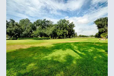 32543 Oak Park Drive, Leesburg, FL 34748 - Photo 2