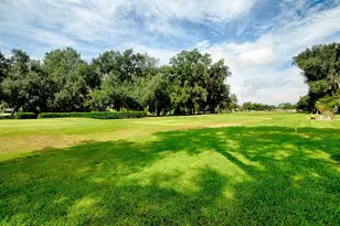 32543 Oak Park Dr, Leesburg, FL 34748 - Photo 2