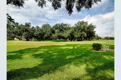 32543 Oak Park Drive, Leesburg, FL 34748 - Photo 6