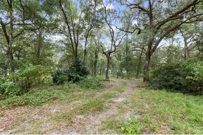 935 Cr 738E, Webster, FL 33597 - Photo 14