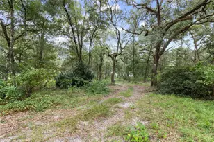 935 Cr 738E, Webster, FL 33597 - Photo 14