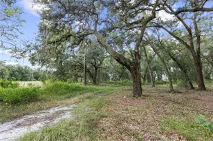 935 Cr 738E, Webster, FL 33597 - Photo 8