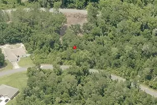 216 Emerald Loop Way, Ocala, FL 34472 - Photo 1