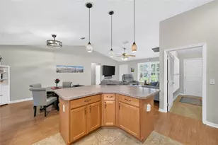 954 Barrymoore Loop, The Villages, FL 32162 - Photo 12