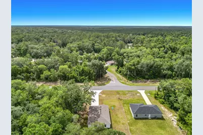 50 Bay Road, Ocklawaha, FL 32179 - Photo 44