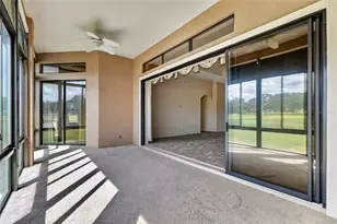 26717 Wetlands Way, Leesburg, FL 34748 - Photo 34