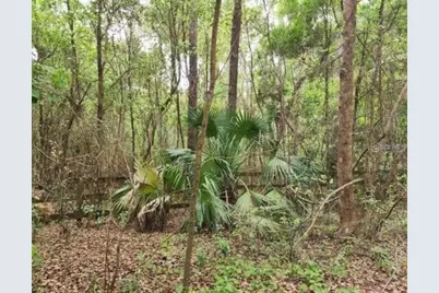 15363 SE 156th Place Road, Weirsdale, FL 32195 - Photo 1