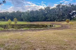 2531 Cr 546A, Bushnell, FL 33513 - Photo 4
