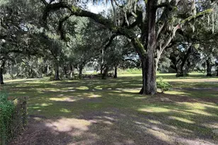 2531 Cr 546A, Bushnell, FL 33513 - Photo 16