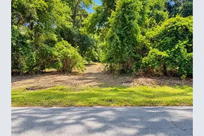 26714 Bloomfield Avenue, Yalaha, FL 34797 - Photo 2