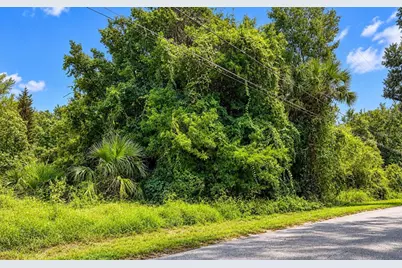 26714 Bloomfield Avenue, Yalaha, FL 34797 - Photo 6
