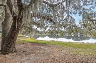 26162 Newcombe Cir, Leesburg, FL 34748 - Photo 50