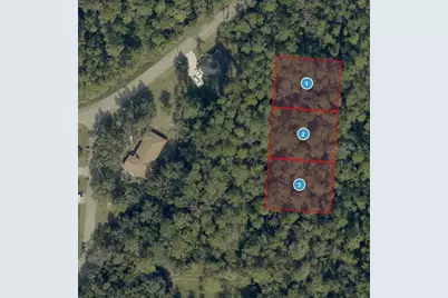 Pine Meadows Rd, Eustis, FL 32736 - Photo 1
