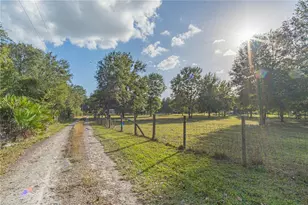 2557 Cr 674A, Bushnell, FL 33513 - Photo 8