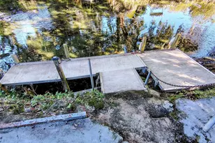 766 Cr 485A, Lake Panasoffkee, FL 33538 - Photo 20