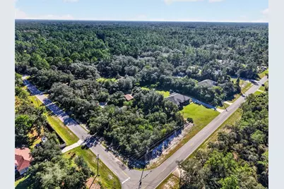 42626 Royal Trails Road, Eustis, FL 32736 - Photo 46