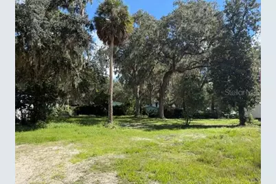 3687 Cr 405Dw, Lake Panasoffkee, FL 33538 - Photo 1