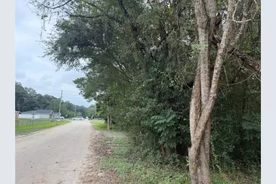 Tbd SE 35th Court, Summerfield, FL 34491 - Photo 6