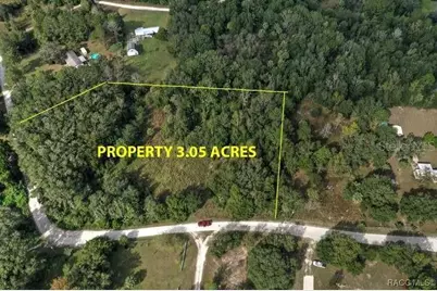 11356 N Young Drive, Dunnellon, FL 34433 - Photo 6