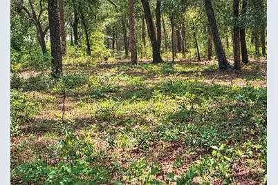 Rolling Acres Road, Lady Lake, FL 32159 - Photo 2