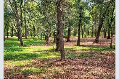 Rolling Acres Road, Lady Lake, FL 32159 - Photo 1