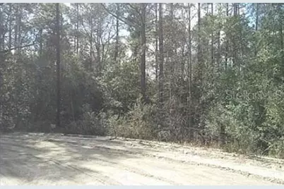 Tbd SE 213th Terrace, Umatilla, FL 32784 - Photo 1