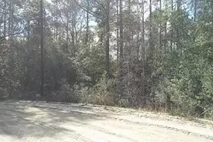 Tbd SE 213th Terrace, Umatilla, FL 32784 - Photo 1