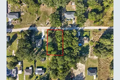 Se 41st Terrace, Summerfield, FL 34491 - Photo 6