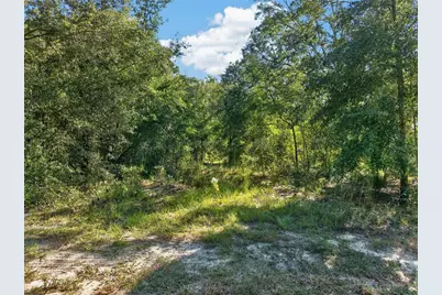 Se 41st Terrace, Summerfield, FL 34491 - Photo 14