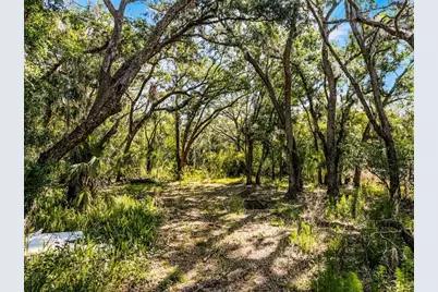 3633 Panther Path Road, Lutz, FL 33559 - Photo 4