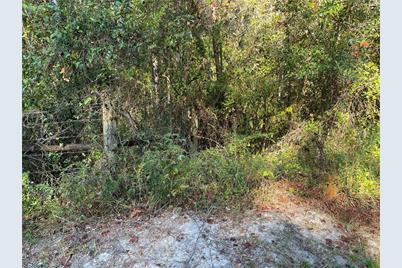 Tbd SE 5th Avenue, Lake Butler, FL 32054 - Photo 14