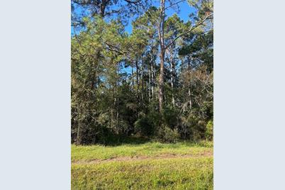 Tbd SE 5th Avenue, Lake Butler, FL 32054 - Photo 12