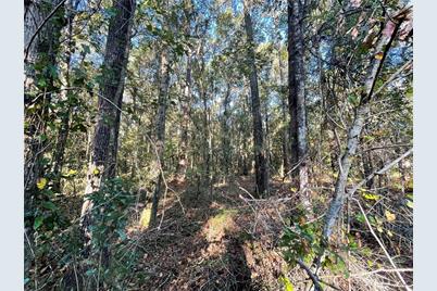 Tbd SE 5th Avenue, Lake Butler, FL 32054 - Photo 26