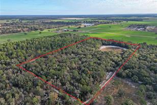 10431 NE 32 Ln, Bronson, FL 32621 - Photo 4