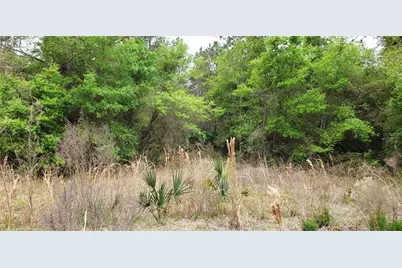 Sw County Road 242A, Lake City, FL 32056 - Photo 4