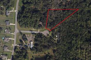 [Address not provided], Hampton, FL 32044 - Photo 2