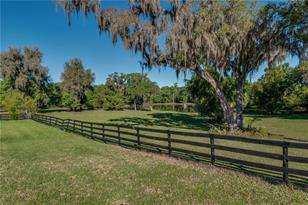 12275 W Hwy 318, Reddick, FL 32686 - Photo 34