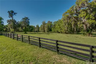 12275 W Hwy 318, Reddick, FL 32686 - Photo 78